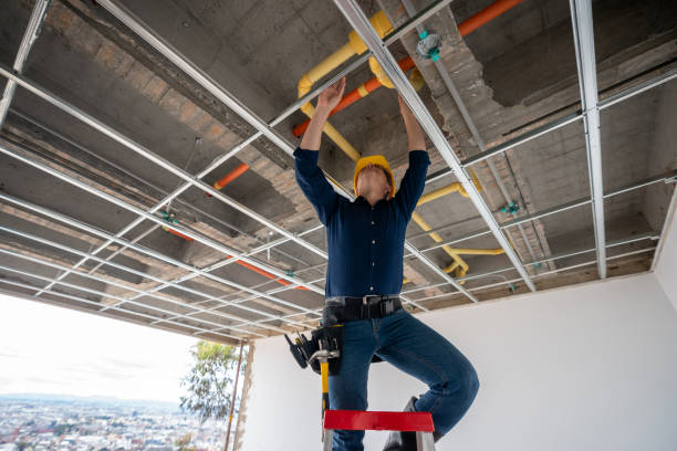 Best Commercial Plumbing Services  in Mondovi, WI