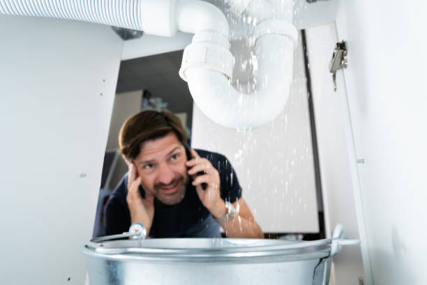 Best Sprinkler Systems  in Mondovi, WI