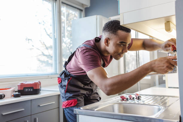 Best Local Plumber Services  in Mondovi, WI